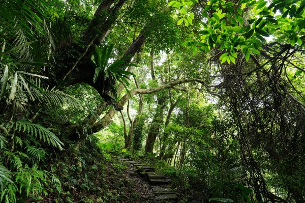 苗栗 大湖 金童山、玉女山、汶水山2806912