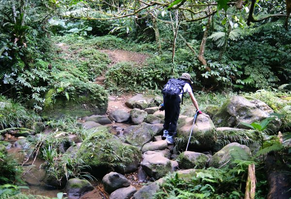 打鐵寮古道.白石山2752900