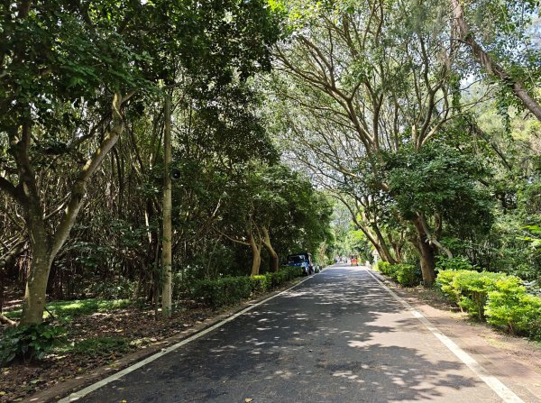 [霄裡好風光，運動樂悠遊！-4/10] 2025_0608 新屋綠色走廊自行車道封面