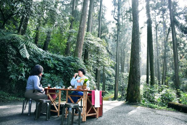 2026.02.07~02.08阿里山健行 & 阿里山石棹森林茶席(嘉義/登山/JRJ紀錄分3010636