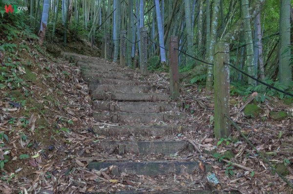 WL 愛旅行【石壁山】499646