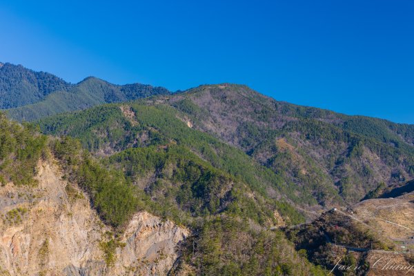 福壽山千櫻園櫻花盛開2724925