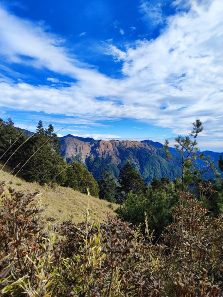 單攻志佳陽2725311