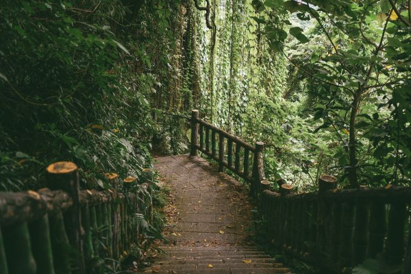 劍潭山 老地方2669518