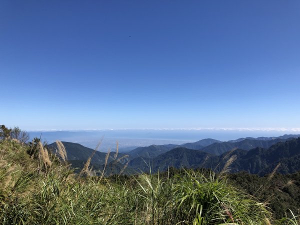 漫步探訪台灣山毛櫸國家步道965886
