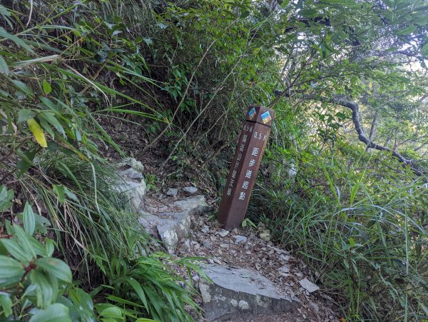 谷關七雄：馬崙山（八壯士進、斯可巴步道出）1879622