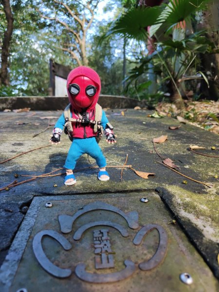 2023.12.14 紅淡山2826455