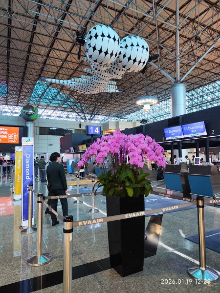 臺灣桃園國際機場、捷運大湖公園站→大溝溪生態治水園區→圓覺寺步道口→新福本坑→碧湖步道3007753