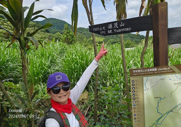 坪林三星(鬼子瀨尖.源茂山.和尚髻山)全紀錄2498649