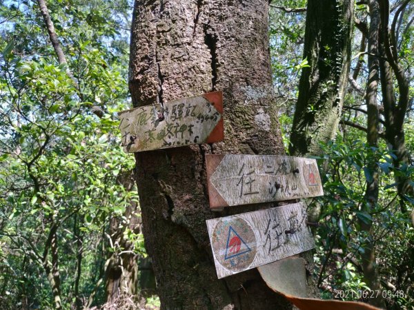 [新竹芎林]鹿寮坑山~彭厝窩...鹿彭沿稜(淨山5)1420066