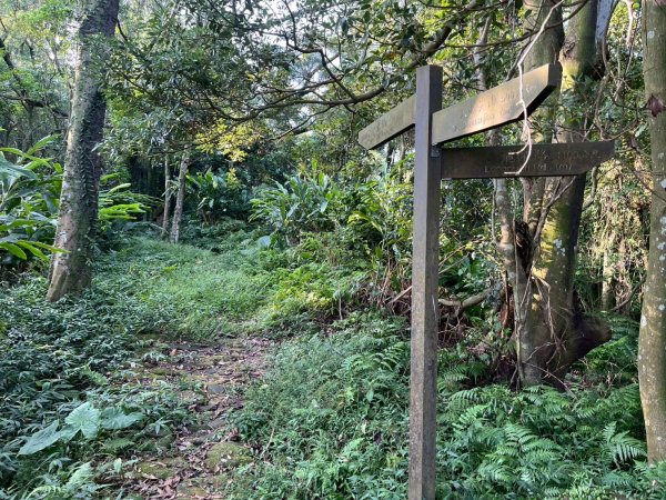 土城頂埔捷運站-大暖尖山-火焰山-承天路-石壁寮溪棧道-永寧捷運站2896427