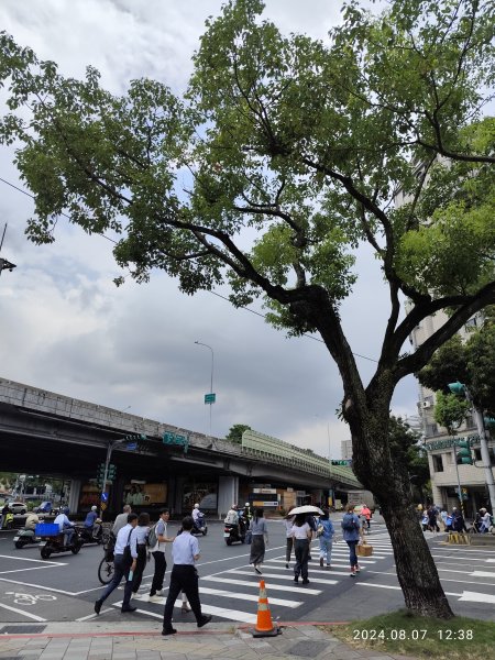 《大安森林公園》【走路趣尋寶】【臺北健走趣】2567435