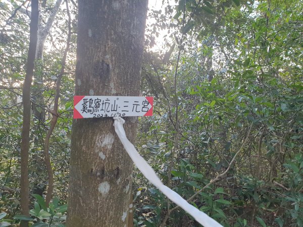 飛沙17連峰2701047