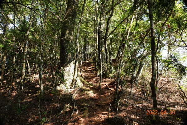 臺中 和平 烏石坑山1697239