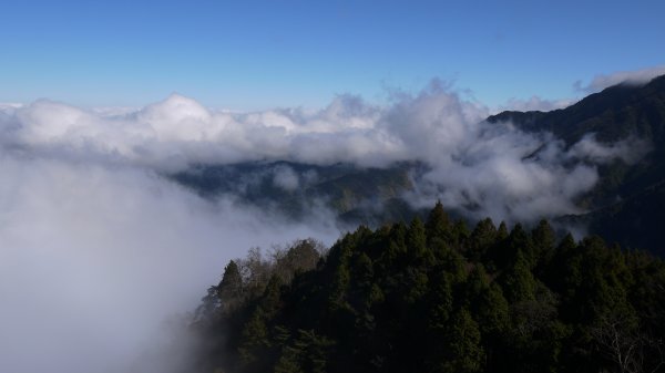 翠峰湖環山步道登山健行趣(步道)1552372