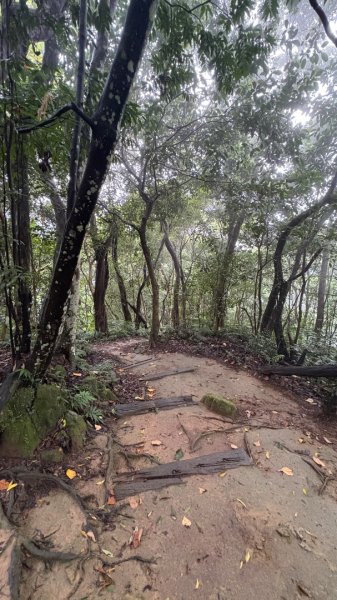 大雨後🙄2845453