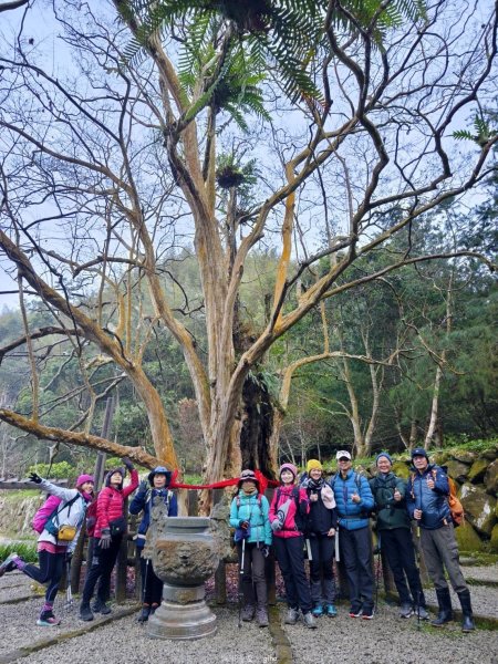 【雲林古坑】舒適宜人。 石壁山連走好望角嘉南雲峰2755244