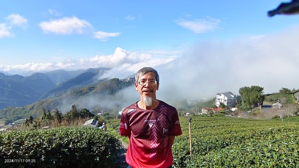 阿里山 #隙頂二延平 #頂石棹 #觀音圈 #雲海 #琉璃光 #雲瀑 #霧虹 11/172649805