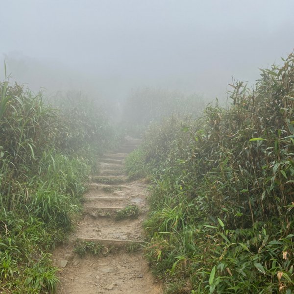 步道巡訪員 l 聖母登山步道四月份巡訪封面