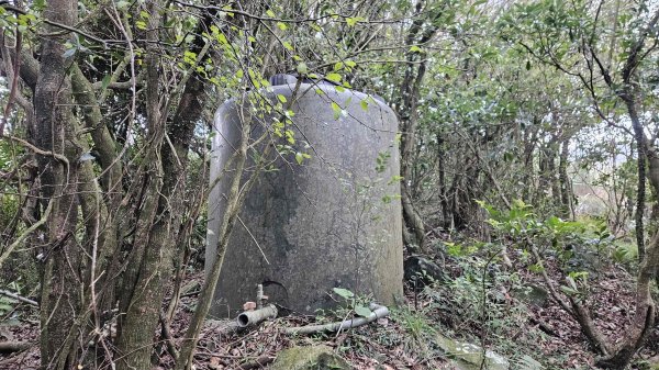 20251128玉瀧谷(竹子湖南)-東昇路碉堡-後山-湖田後山梯田(騎車爬山)2948390