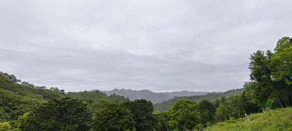 2025/04/13_大窩文史生態區步道2760244