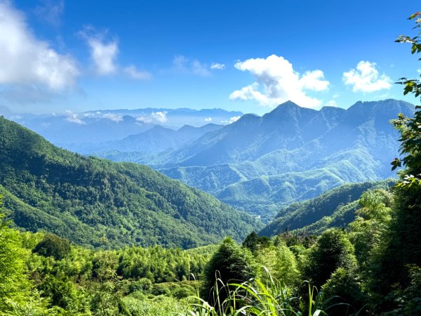 羊彎上武岫大崙山茶園尋山頭2824878