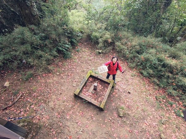 大塔山、對高岳、小笠原 O型環線1195230