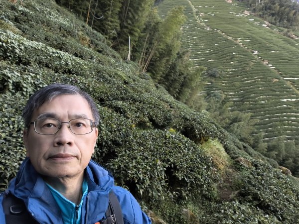 金柑樹、嶺頭山、忘憂森林2956102