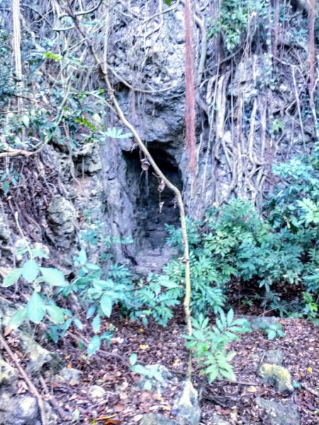 柴山之美~2934535