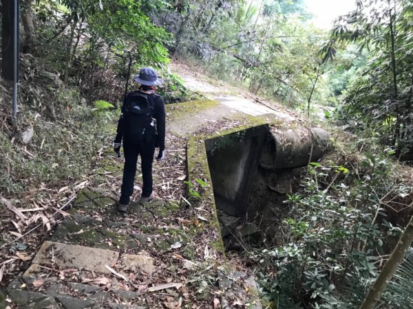 烏山步道走刣牛湖山468684