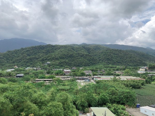 ~  中 山 茶 園 步 道  ~2580962