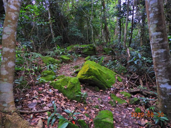 苗栗 卓蘭 大克山1083272