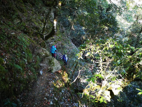 屏風山--岳界說的鳥山，其實不鳥～很辣703265