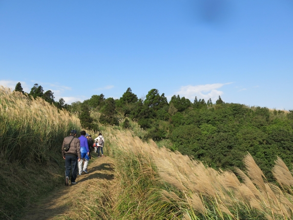 步道小旅行～草山東段五連走46800