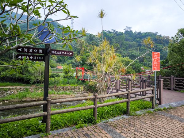 2026-05-02 鳴鳳古道步道群3049312