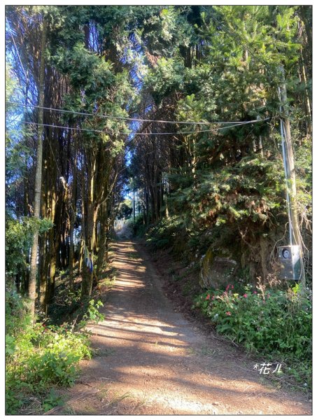 雨後頭縱走 (日月潭)2694397