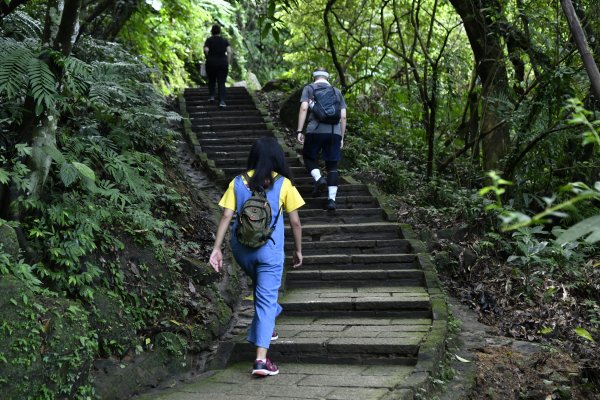 被遺忘的南港山角落：樹梅古道封面