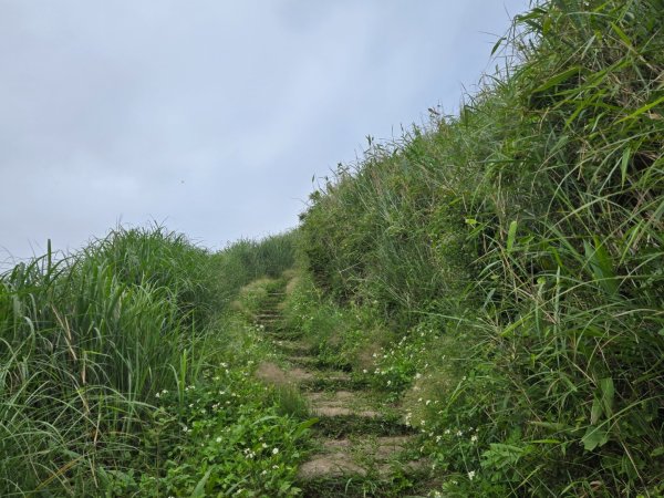 面天山、向天山3045035