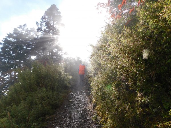 國慶日走雪主東464525