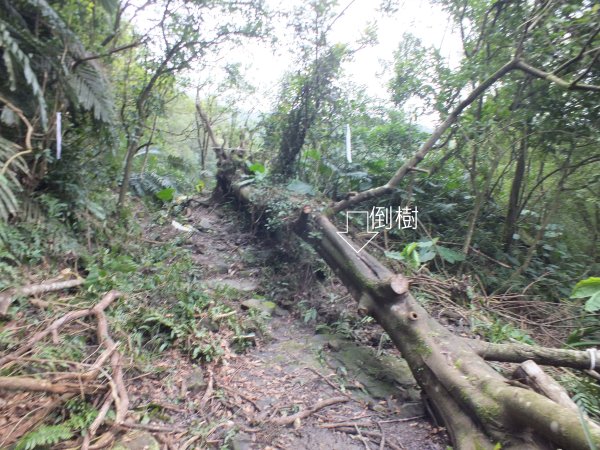 百二階古道+苕谷瀑布+逸仙山+泰和樓2734431