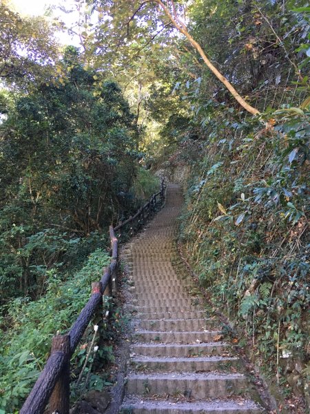 20161119_谷關七雄之四-波津加山873756