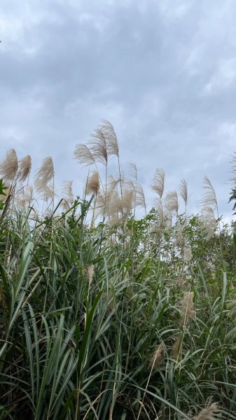 宜蘭_望龍三山&北后寺2984010