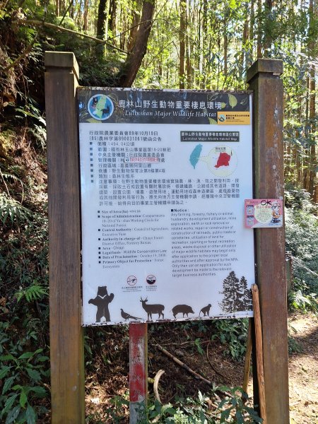 石山引水道202512112959523