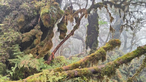 茶仁山單攻2025年4月4日2753347