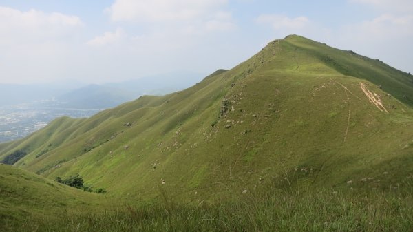 香港山系 － 九龍 • 新界934548