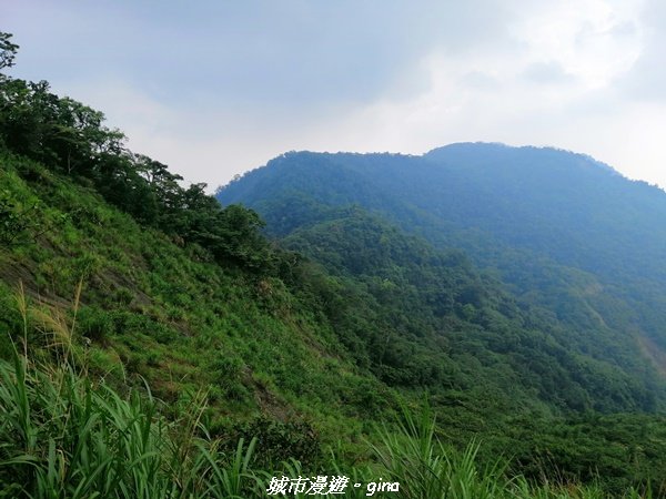 【台南。南化】開車比爬山還辛苦。小百岳集起來。編號66小百岳~西阿里關山1473555