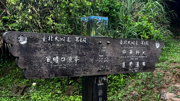 大縱走第4段3053249