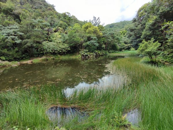 金明山，柯子林2221479