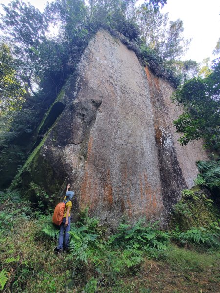 冷飯坑古道＞冷飯坑山＞楓子林山＞烏月山＞白馬將軍洞巨岩O走