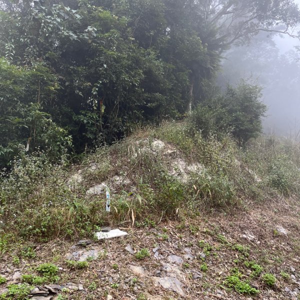 20251115_藤枝山（高雄小百岳）2941535